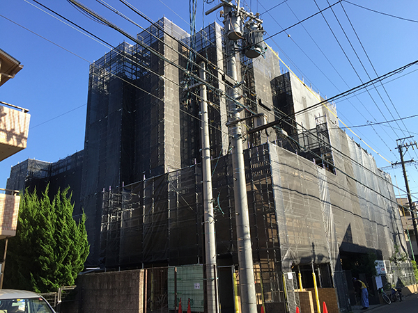 一般住宅のビケ足場